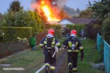 Pożar altanki działkowej na osiedlu Lotnisko w Grudziądzu. Jedna osoba w szpitalu [wideo, zdjęcia]