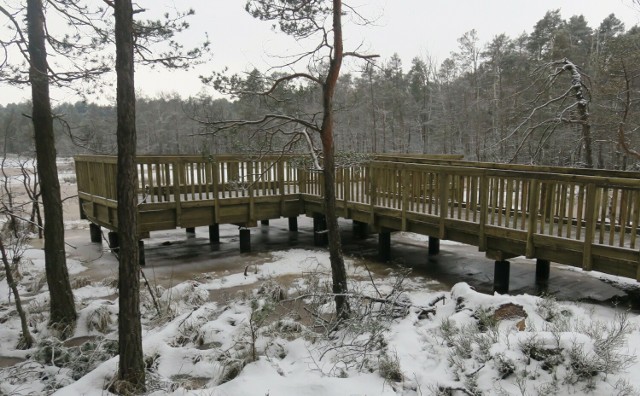 Ścieżka przyrodnicza w rezerwacie "Bagno Przecławskie" została ponownie udostępniona dla turystów