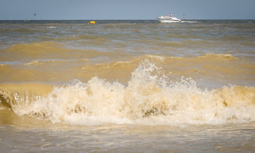 Sinice już na 49 plażach na Pomorzu. Problem z sinicami jest przekleństwem dla turystów [zdjęcia,wideo]
