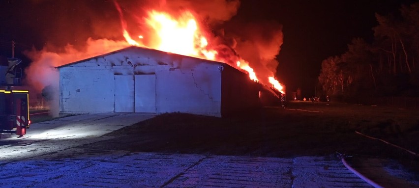 Nocny pożar kurnika w Rurzycy, strażacy w akcji.