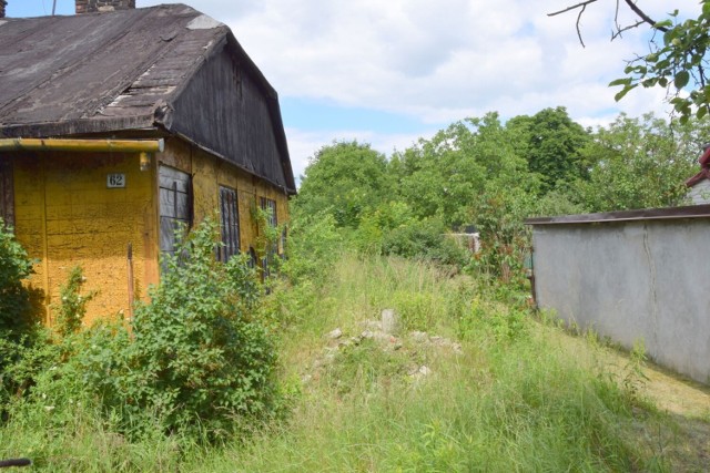 - Przy ulicy Pakosz 62 w Kielcach trawa jest nie koszona od kilku lat – zaalarmowała nas sąsiadka, która czuje się bezradna w tej sytuacji. 

Zobacz zdjęcia na kolejnych slajdach>>>>