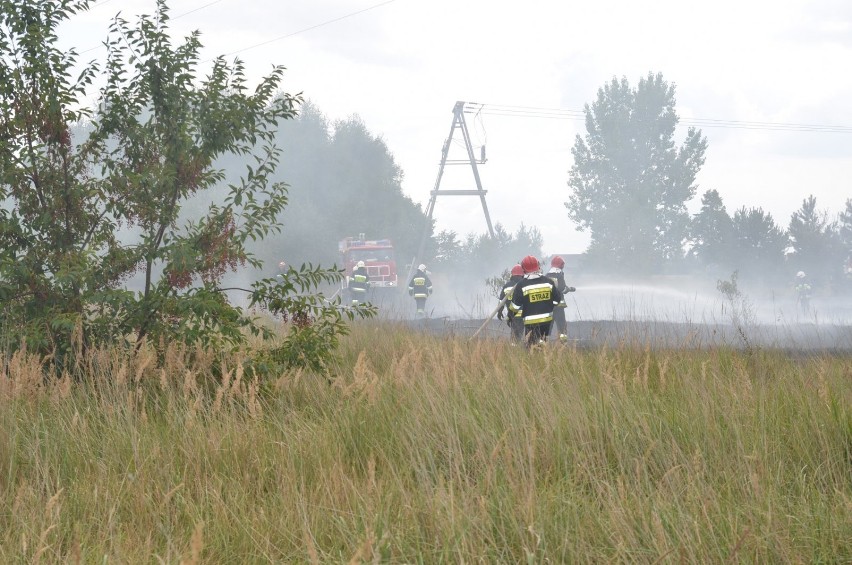 Pożar w Trzemesznie. Ogień się rozprzestrzeniał [Zobacz zdjęcia]