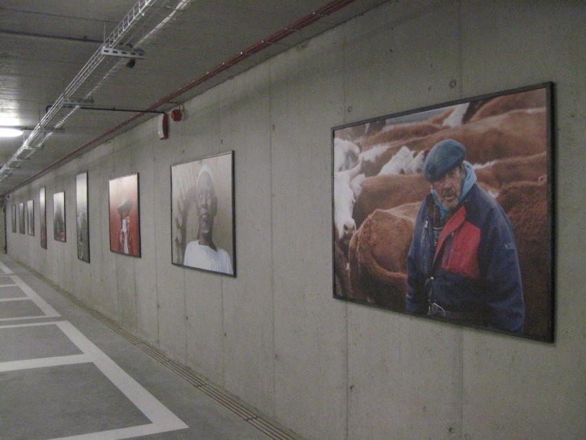 CSK w Lublinie. Wystawa fotografii na podziemnym parkingu