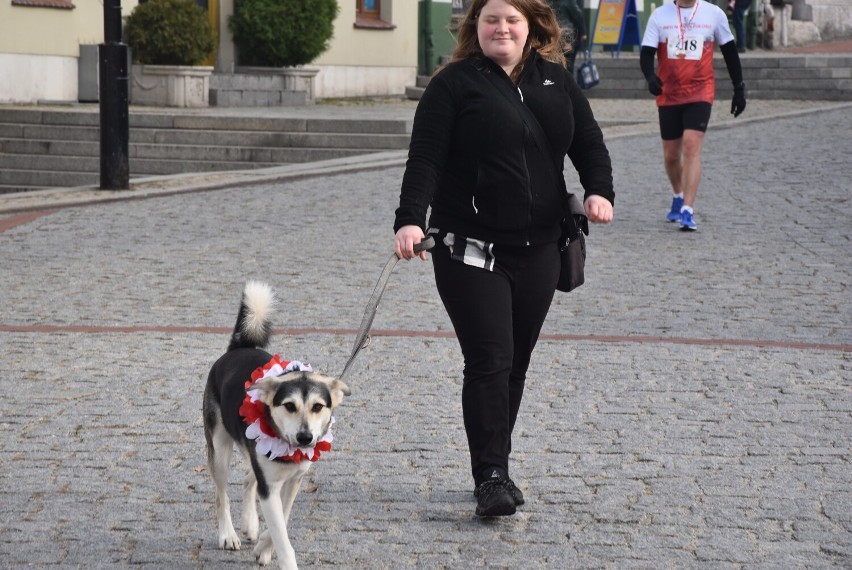 Gniezno. Przebiegłeś Bieg Niepodległości 2021? Poszukaj siebie na zdjęciach! [FOTO]