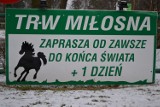 TRW Miłosna zaprasza na Halowe Zawody Regionalne w skokach przez przeszkody