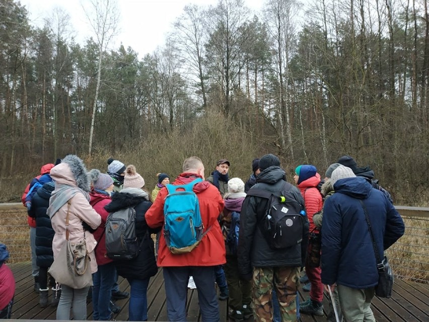 Osiedle domków w Lesie Bemowskim? Deweloper jest chętny, ale mieszkańcy protestują