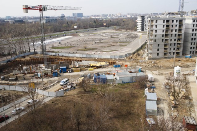 Drzewa w Czyżynach, zdjęcie z marca zeszłego roku