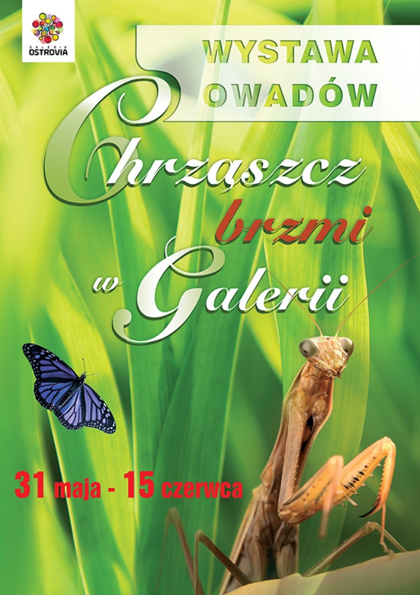 Galeria Ostrovia szykuje wiele atrakcji: Bieg, Dzień Mamy i Dzień Dziecka 