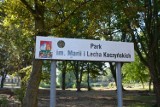 Tych 10 drzew zostanie wyciętych w parku im. Marii i Lecha Kaczyńskich w Lęborku
