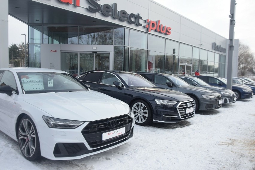 Salon Audi w Radomiu już otwarty. Setki osób oglądało nowoczesne samochody, przygotowano wiele atrakcji. Zobaczcie zdjęcia