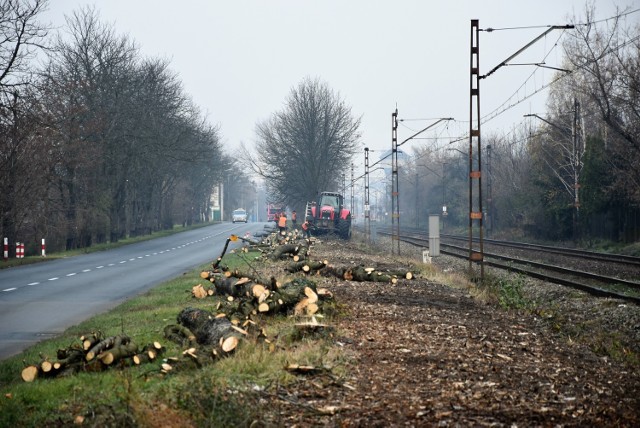 Na zlecenie PKP PLK w Opolu wycinka prowadzona jest na czterech liniach, w tym linii nr 132 w sąsiedztwie ul. Marka z Jemielnicy.