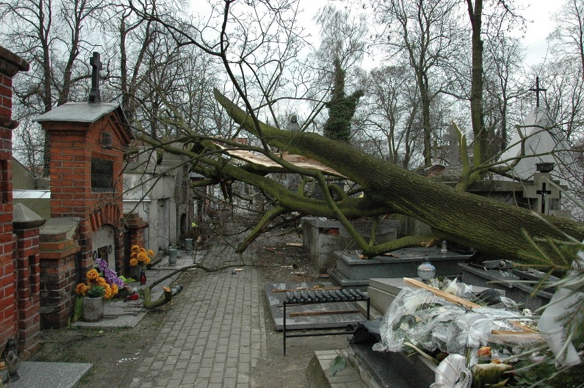 Sobotnia wichura spowodowała duże straty na Cmentarzu...