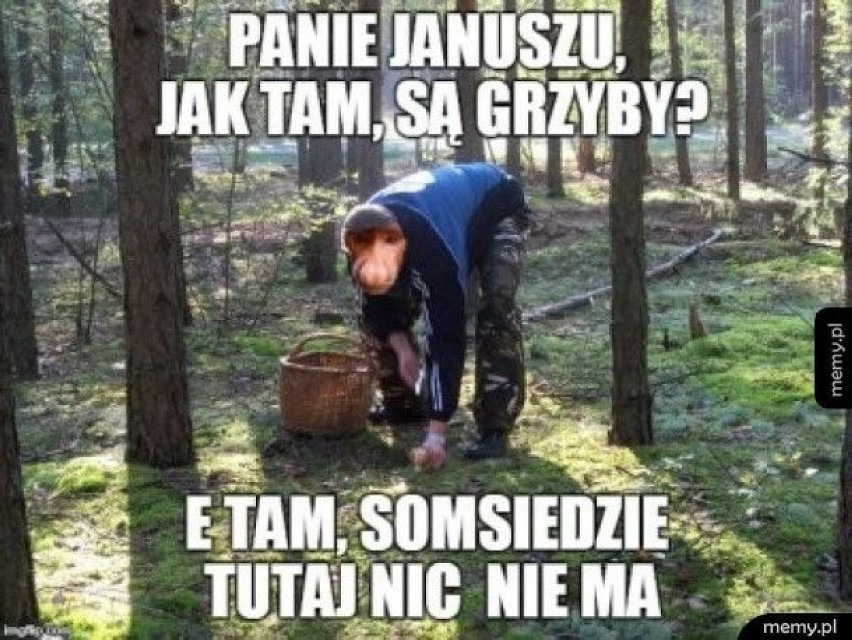 MEMY o grzybiarzach! Grzybobranie na wesoło.