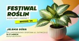 Festiwal Roślin już w najbliższy weekend w Jeleniej Górze. Hala widowiskowo-sportowa na zielono!