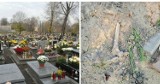 Porozrzucane kości na cmentarzu w Świętochłowicach. Czy są ludzkie?