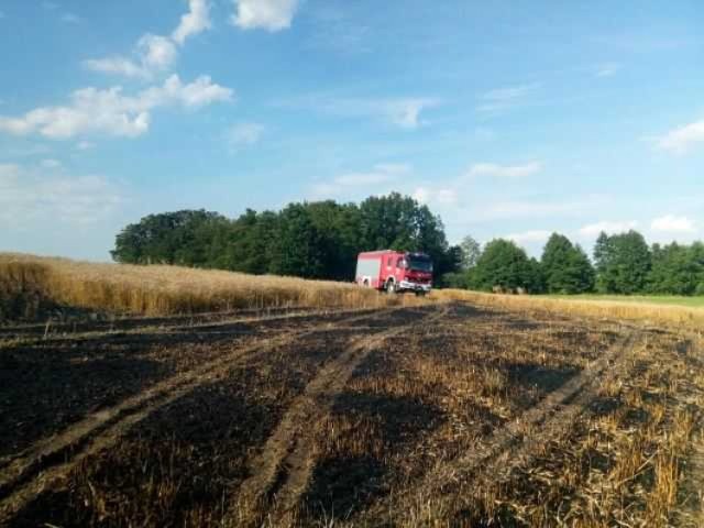 Ogień objął łącznie teren o powierzchni ok. 5 hektarów
