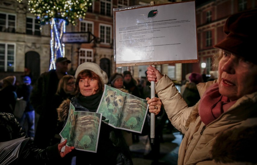 Gdański protest przeciwko masowemu odstrzałowi dzików,...