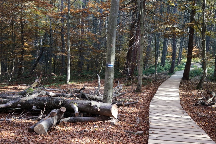 Czy jesień w Bieszczadach możliwa jest bez tłumów turystów?...