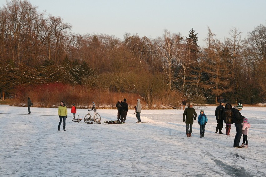 Zima w Parku Południowym (zdjęcia, PROGNOZA POGODY)