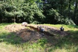 Prace wykopaliskowe w Gliwicach [ZDJĘCIA]. Nowe odkrycia archeologów - pozostałości siedziby rycerskiej?