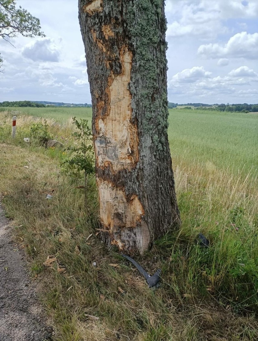 Ciężarówka uderzyła w drzewo koło Barwic [zdjęcia]