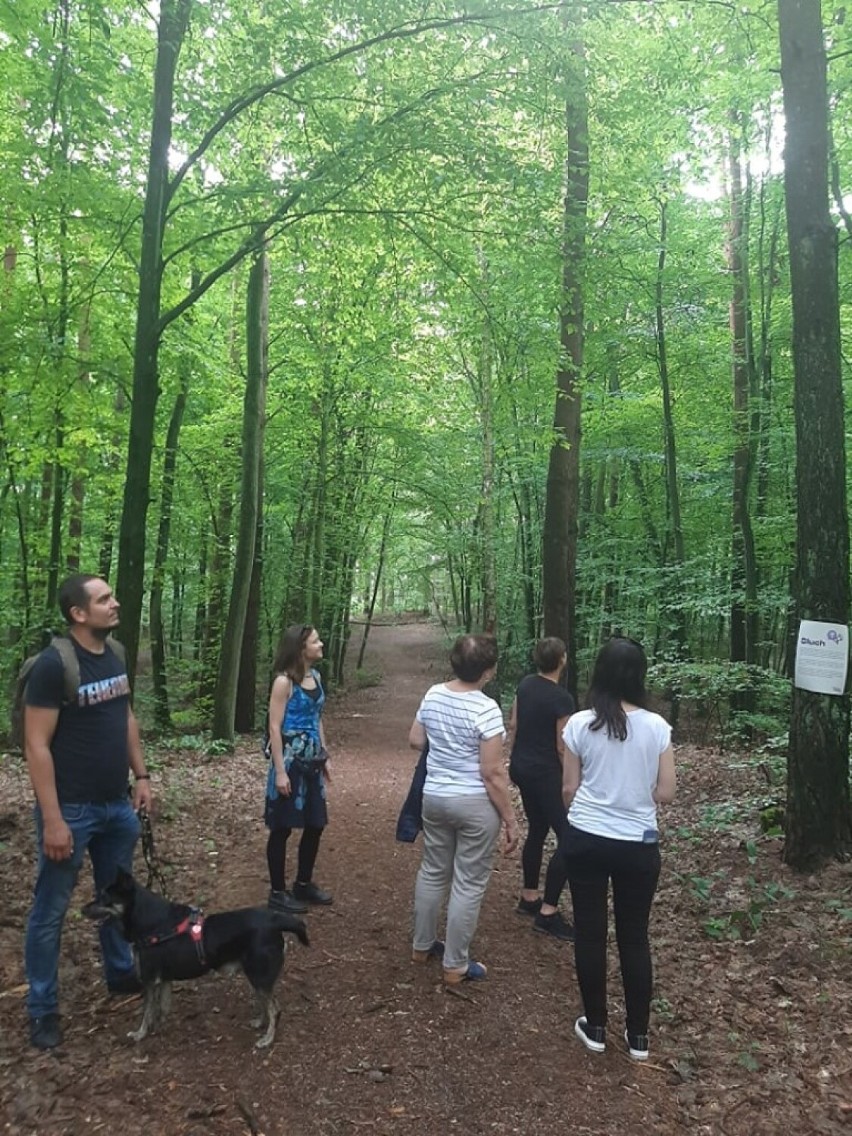 Relaksacyjna niedziela w Powiecie Tczewskim - "Po zdrowie i szczęście do lasu"