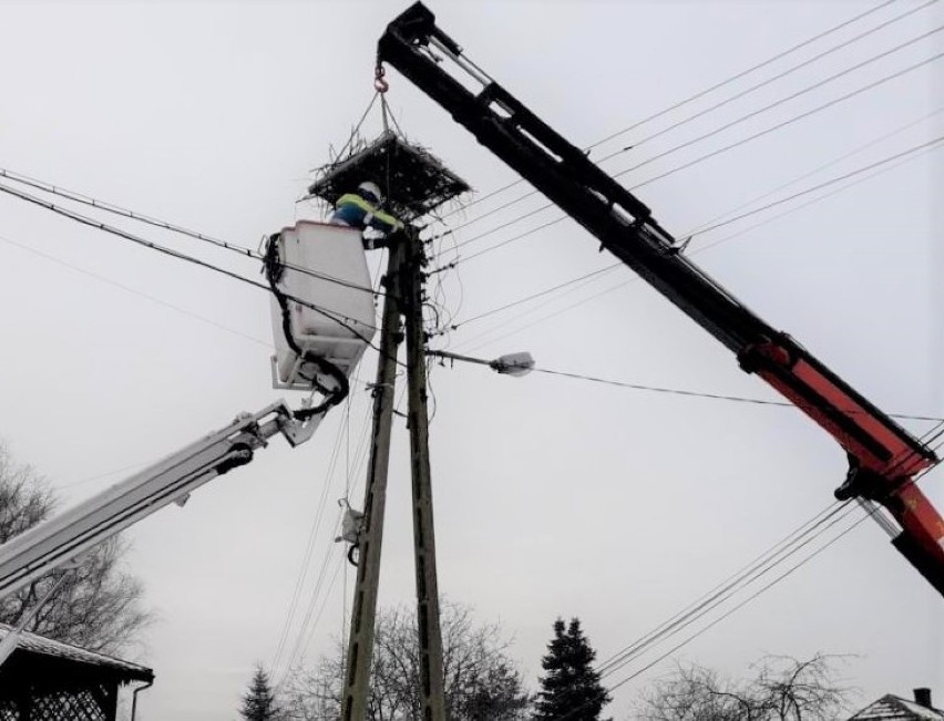 Nowe bocianie gniazdo pojawiło się na słupie energetycznym...