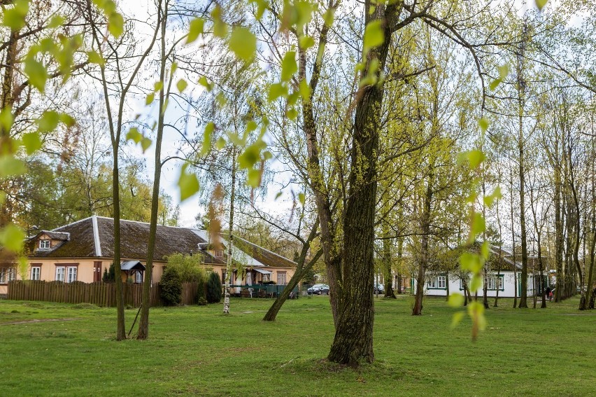 Osiedle Przyjaźń świętuje 69. urodziny. Na mieszkańców będą czekać atrakcje