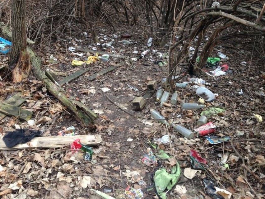 Usunięto śmieci z rejonu ulicy Bogumińskiej i Witosa