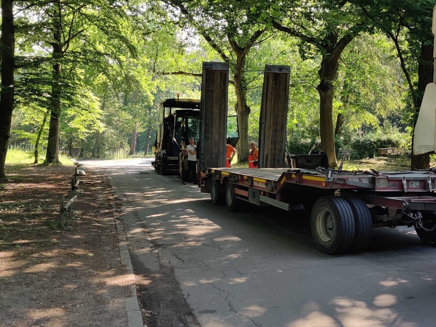 Na Cmentarzu Centralnym w Szczecinie trwa remont kolejnych alejek 