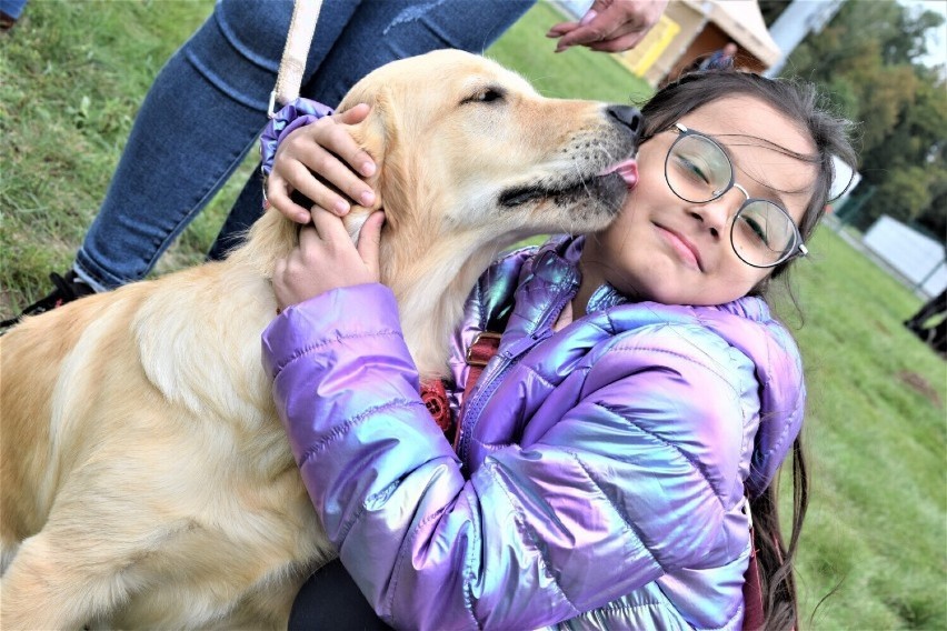 Psie wystawy odbywają się w Sieradzu cyklicznie