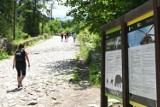 Tatry. W Zakopanem sporo ludzi, na szlakach górskich tłumów jednak nie widać 