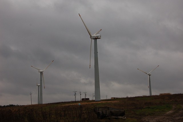 Elektrownie wiatrowe z powodzeniem działają w sąsiednim województwie świętokrzyskim. U nas to wciąż rzadkość