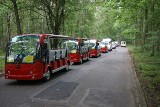 Łeba: Przewoźnicy strajkowali na trasie Łeba - Rąbka. Chcą niższych opłat, na co nie zgadza się Park