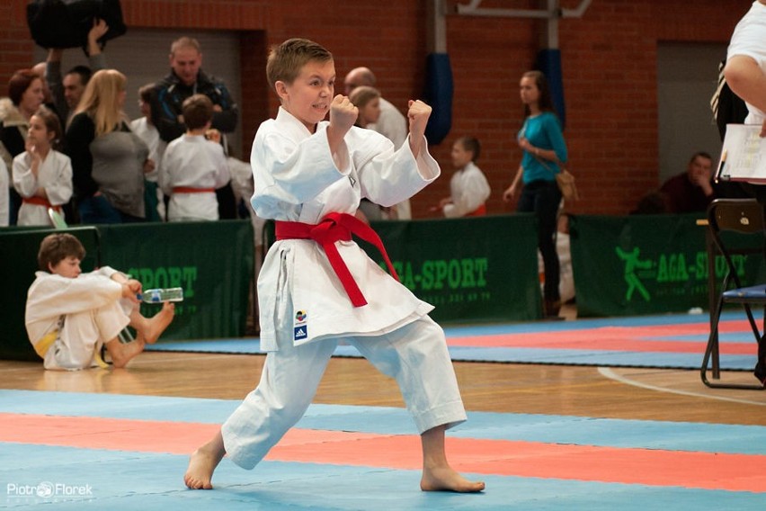 XXII Puchar Dolnego Śląska w Karate WKF ,,Silesia Cup 2013”....