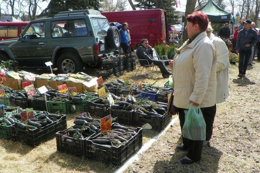 Agro Targi w Starej Łubiance już po raz 22.