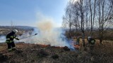 Stryszów. Nic do nich nie dociera! Tu codziennie płonie trawa i to po kilka razy na dobę [ZDJĘCIA]