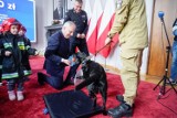 Ratowali ofiary trzęsienia ziemi w Turcji. Gdańscy strażacy nagrodzeni przez wojewodę i szefa pomorskiej PSP | ZDJĘCIA