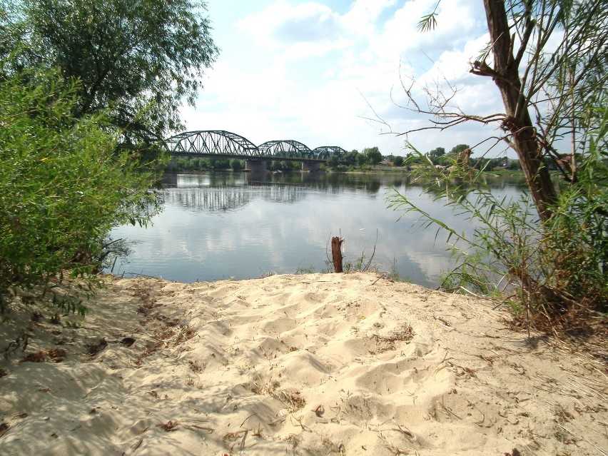 Widok z bydgoskiej wyspy naturystów, niestety, święcącej...