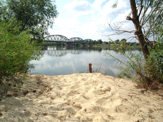 Widok z bydgoskiej wyspy naturystów, niestety, święcącej pustkami.