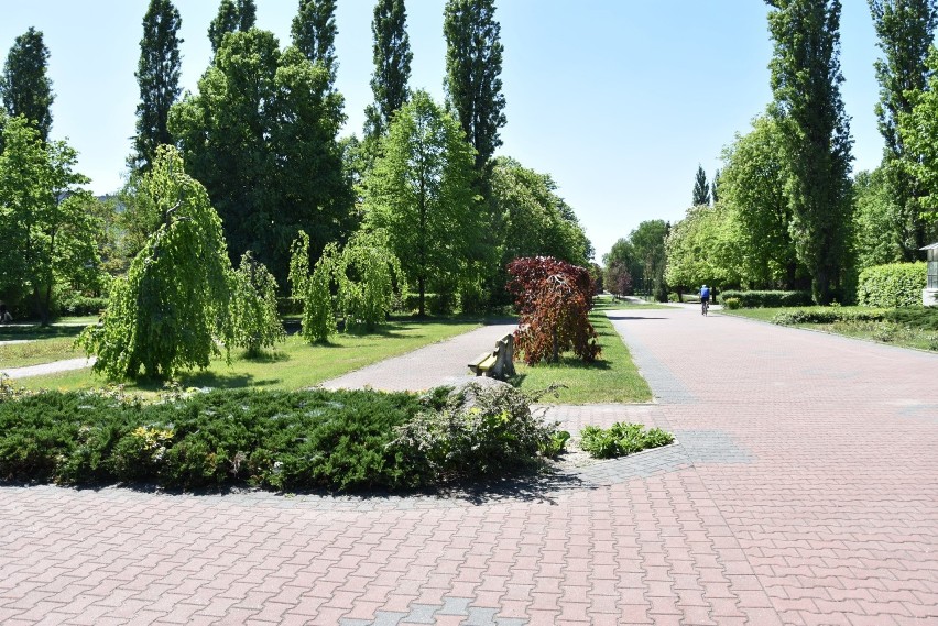 Czeska firma zbuduje park bioróżnorodności w Sosnowcu. Umowa na przebudowę parku przy Kresowej podpisana