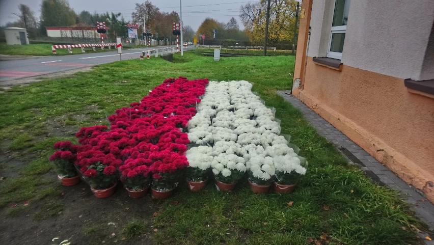 Flaga Polski na Święto Niepodległości przed strażnicą OSP...