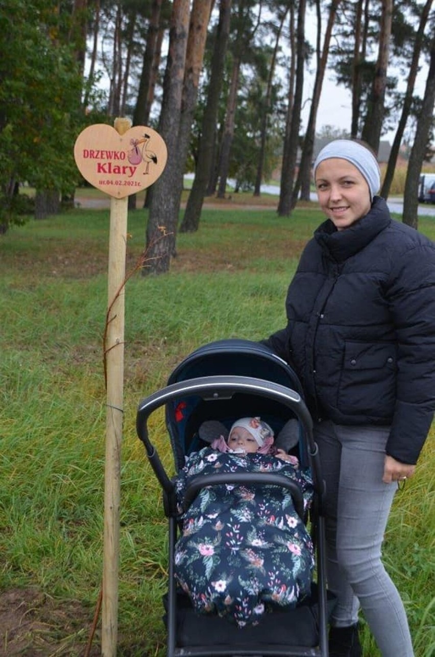 Gmina Śmigiel. Dziś rozpoczęła się kolejna akcja "Drzewko Życia"