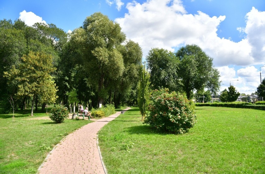 Park Stary Ogród w Radomiu. Idealne miejsce na popołudniwy spacer w centrum miasta. (Zdjęcia)