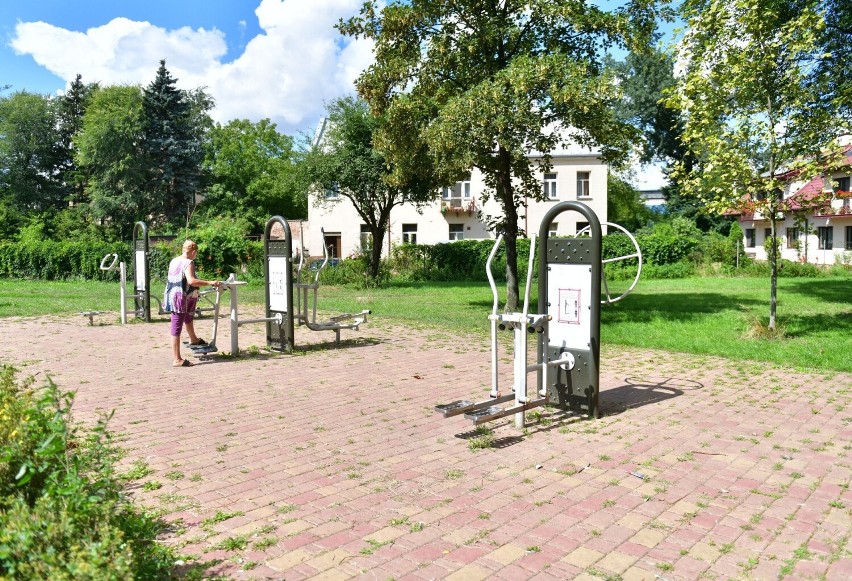 Park Stary Ogród w Radomiu. Idealne miejsce na popołudniwy spacer w centrum miasta. (Zdjęcia)