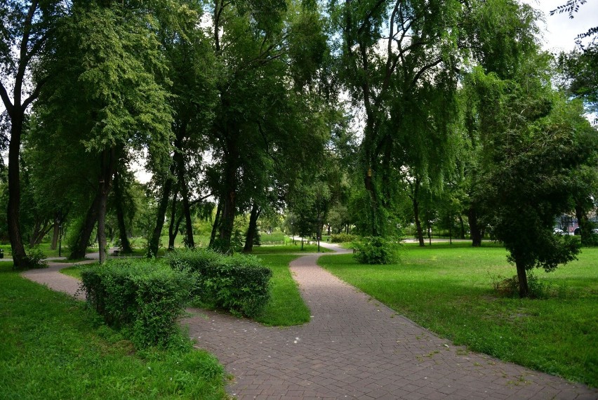 Park Stary Ogród w Radomiu. Idealne miejsce na popołudniwy spacer w centrum miasta. (Zdjęcia)