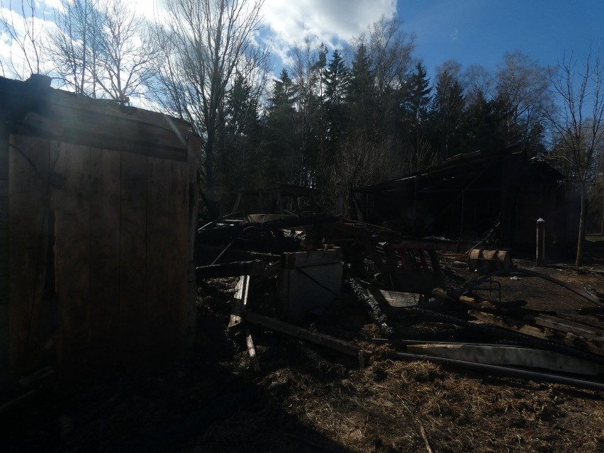 Pożar w Charciabałdzie. Spaliła się stodoła oraz garaż. Straty są duże. Samotna matka z piątką dzieci prosi o pomoc 21.03.2022