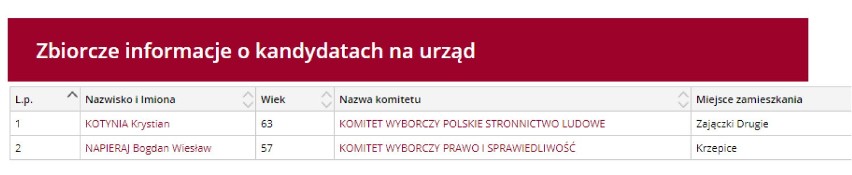 Kandydaci na burmistrza w Krzepicach. WYBORY 2018 w pow. kłobuckim