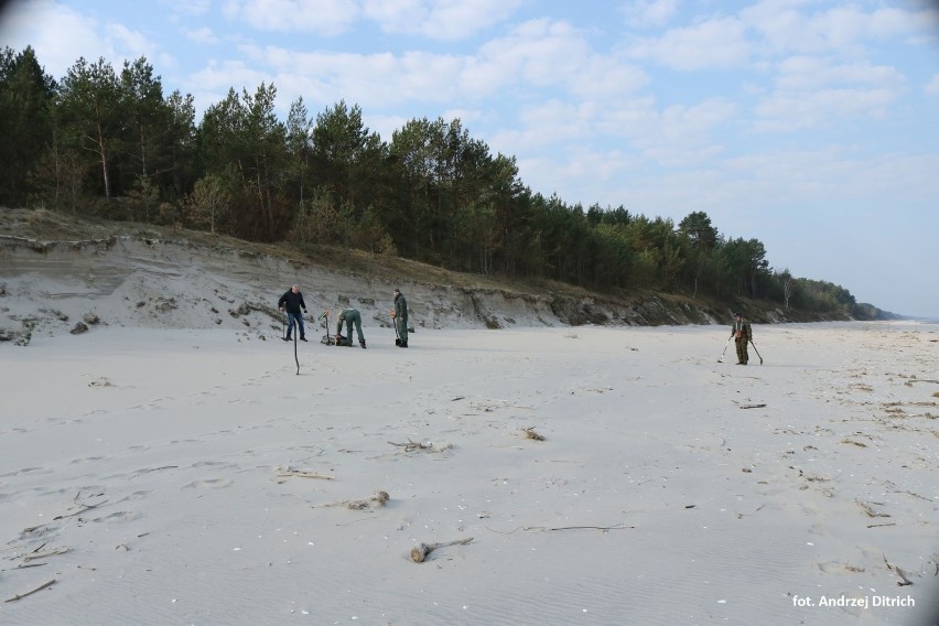 Mierzeja Wiślana. Grupa eksploratorów z grupy "Niebieskie Berety" szukała na plaży pozostałości z okresu II WŚ [ZDJĘCIA]