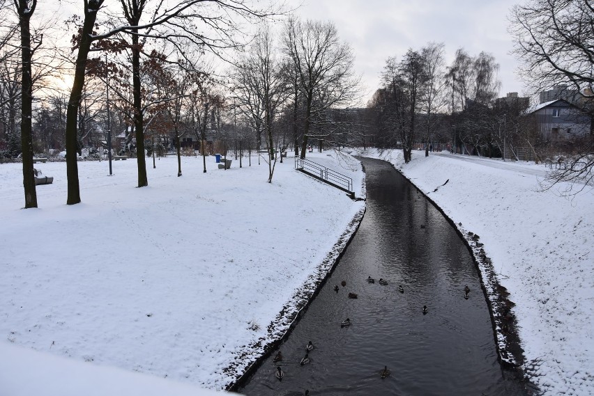 Zima w Parku nad Nacyną w Rybniku